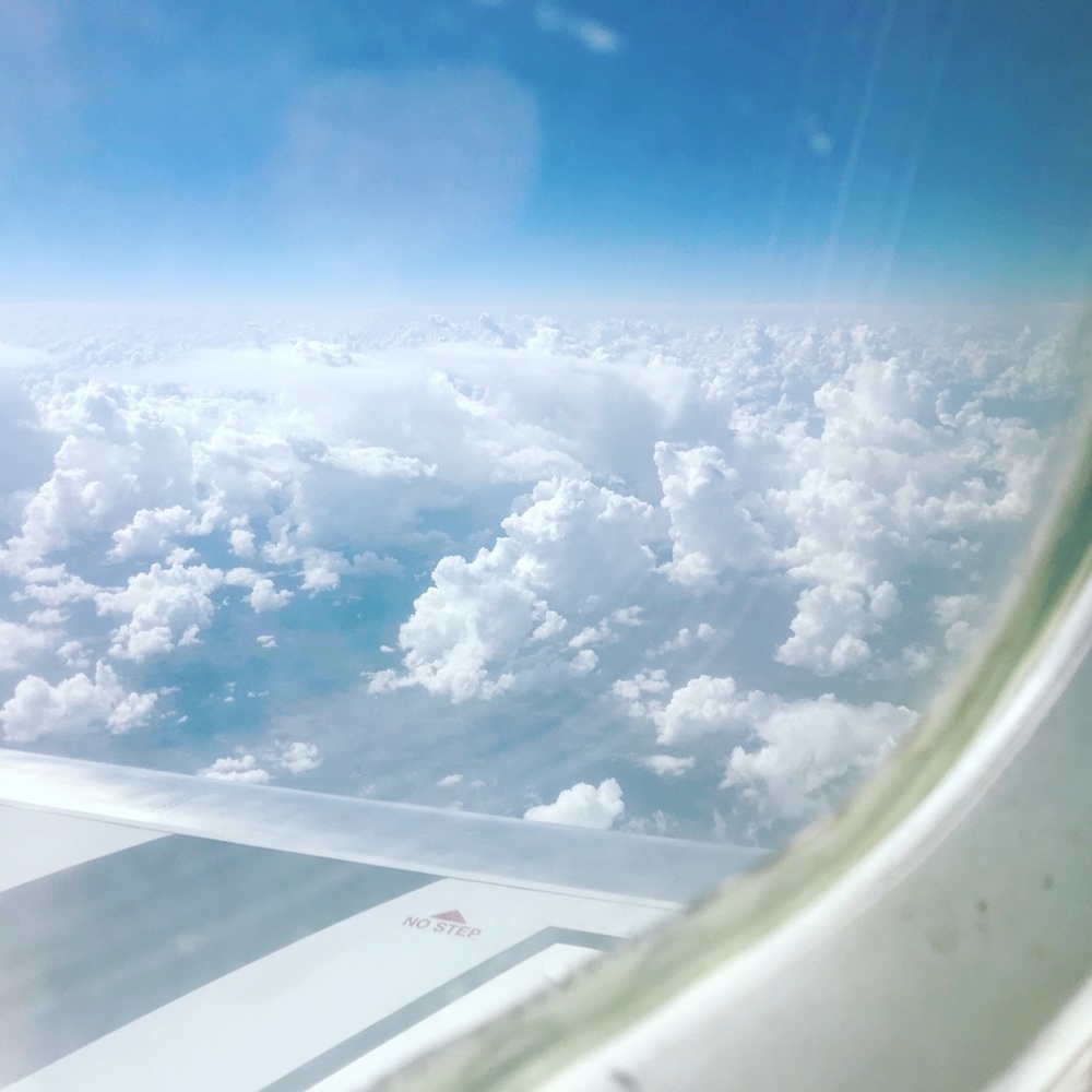 Leaving for vacation! Make offers now!